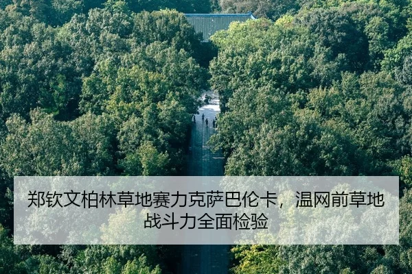 zheng-qin-wen-bo-lin-cao-di-sai-li-ke-sa-ba-lun-ka-wen-wang-qian-cao-di-zhan-dou-li-quan-mian-jian-yan-2-392.jpg