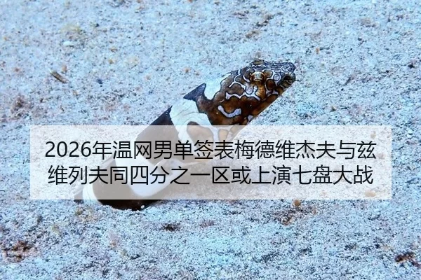 nian-wen-wang-nan-dan-qian-biao-mei-de-wei-jie-fu-yu-zi-wei-lie-fu-tong-si-fen-zhi-yi-qu-huo-shang-yan-qi-pan-da-zhan-2-797.jpg
