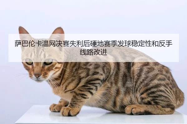 sa-ba-lun-ka-wen-wang-jue-sai-shi-li-hou-ying-di-sai-ji-fa-qiu-wen-ding-xing-he-fan-shou-xian-lu-gai-jin-2-409.jpg