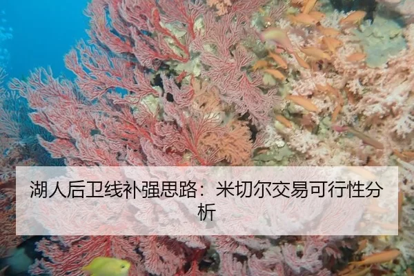 湖人后卫线补强思路：米切尔交易可行性分析